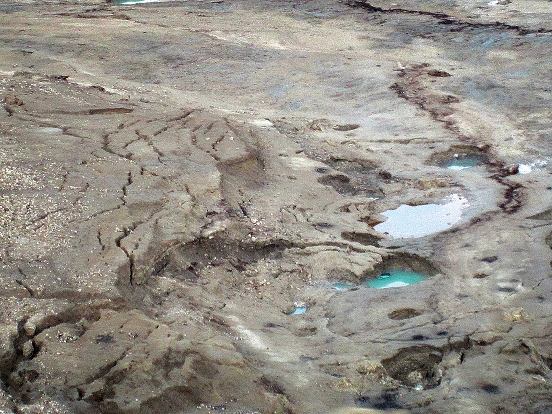 6886668968_d5fbf74ae0_o-min