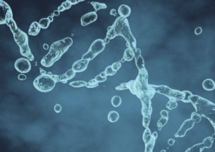 c_iStock-914931308_image_jungle