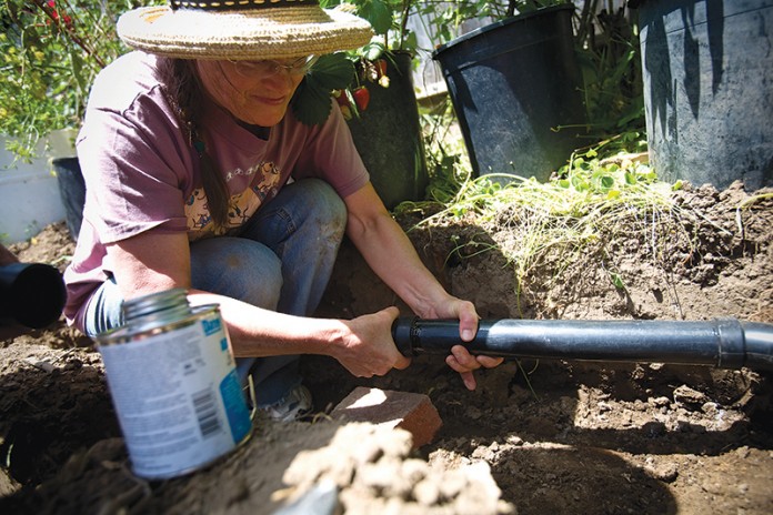 Daily Act Tour: Greywater-fed Urban Oasis
