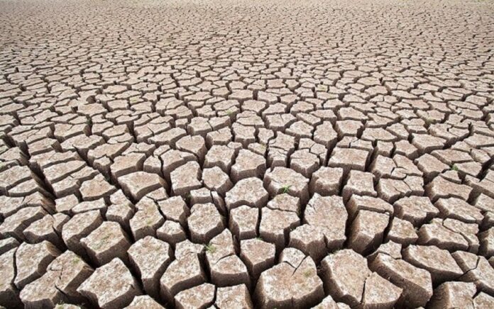 Drought c shutterstock_433196212_freedomnaruk_