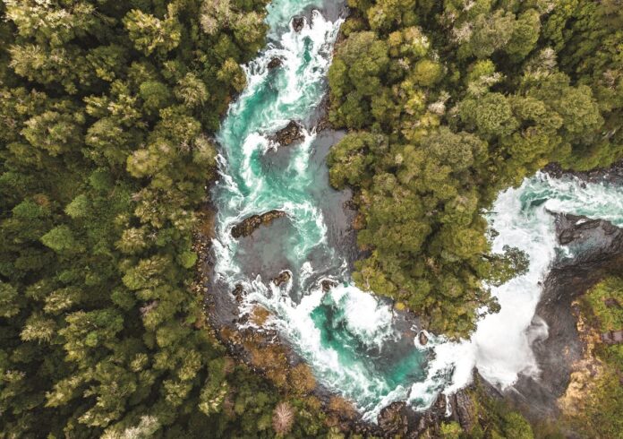 © iStock / Alexis Gonzalez