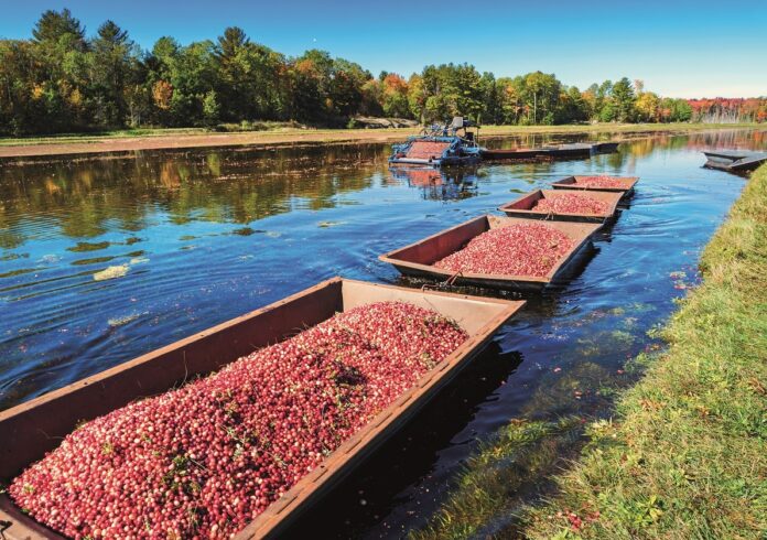 iStock-613880234 benedek