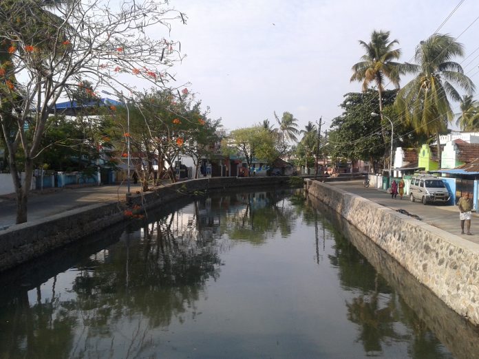 Susana Secretariat/flickr